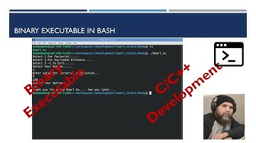 Seamless Synergy: Step By Step Approach Leveraging Python in Bash for Powerful Interpreted Scripting