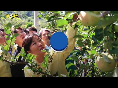 장바구니 부담 이렇게 던다! 송미령 농림부 장관 추석 앞두고 안동을 찾은 이유는？