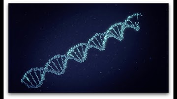 DaVinciResolve Fusion Tutorial: Double Helix using Particles