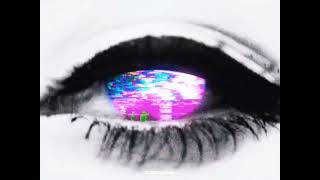 Reflets brisés - Hollow Bloom