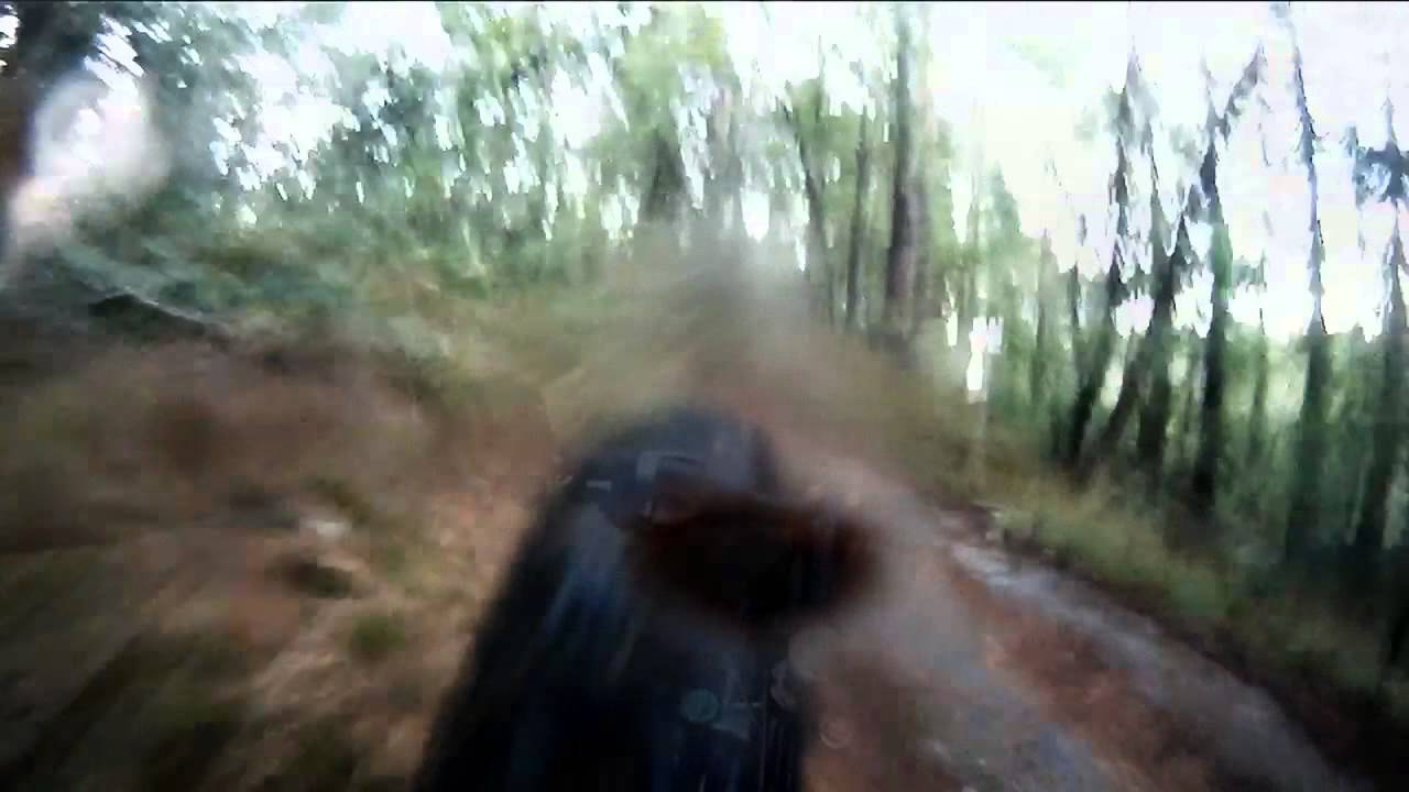 Våte, sleipe røtter rett nord for Dømmesmoen