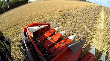 Spectrometer NIR Polytec