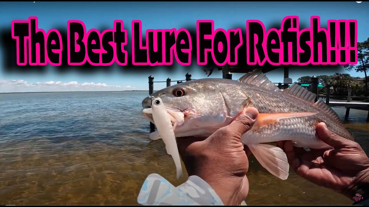 Will Reed Fish Bite Forget Live Bait! This Lure Will Have Redfish Fighting to Bite! - YouTube