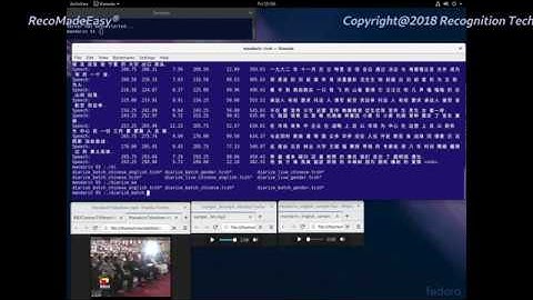 RecoMadeEasy ® AudioVisual Engine Demo 2018
