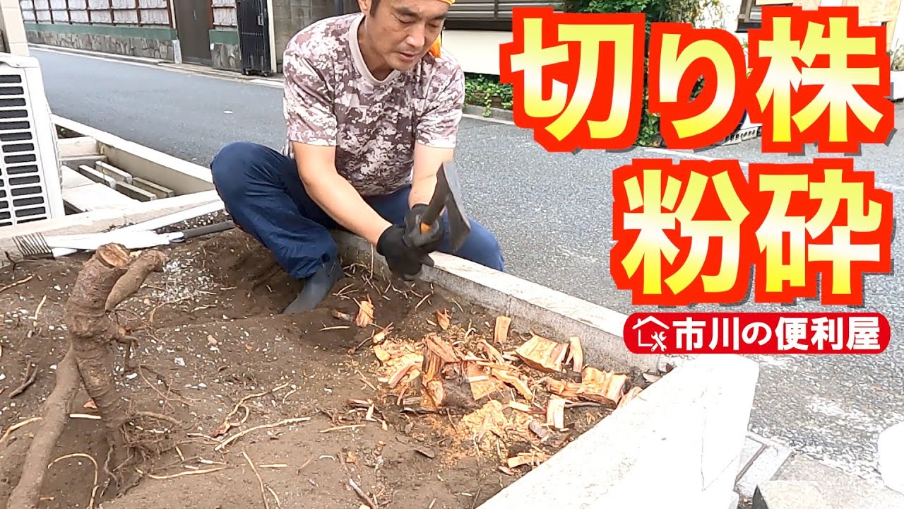 【切り株粉砕,防草砂,防草シート,庭石磨き,除草剤】花壇に防草シートで劇的イメチェン！狸の焼き物を写真映えスポットに📷️｜千葉県市川市の便利屋！各作業料一覧、お問い合わせ先は概要欄をご覧下さい！