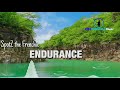 Endurance  relaxing music  spotz the frenchie  primrose fernetise  marla malvins  visualizer