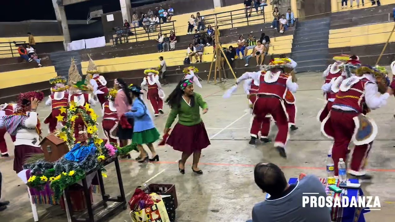FINAL - ABUELITOS DE HUARIBAMBA (PROSADANZA) - CONCURSO PAIJÁN 2026