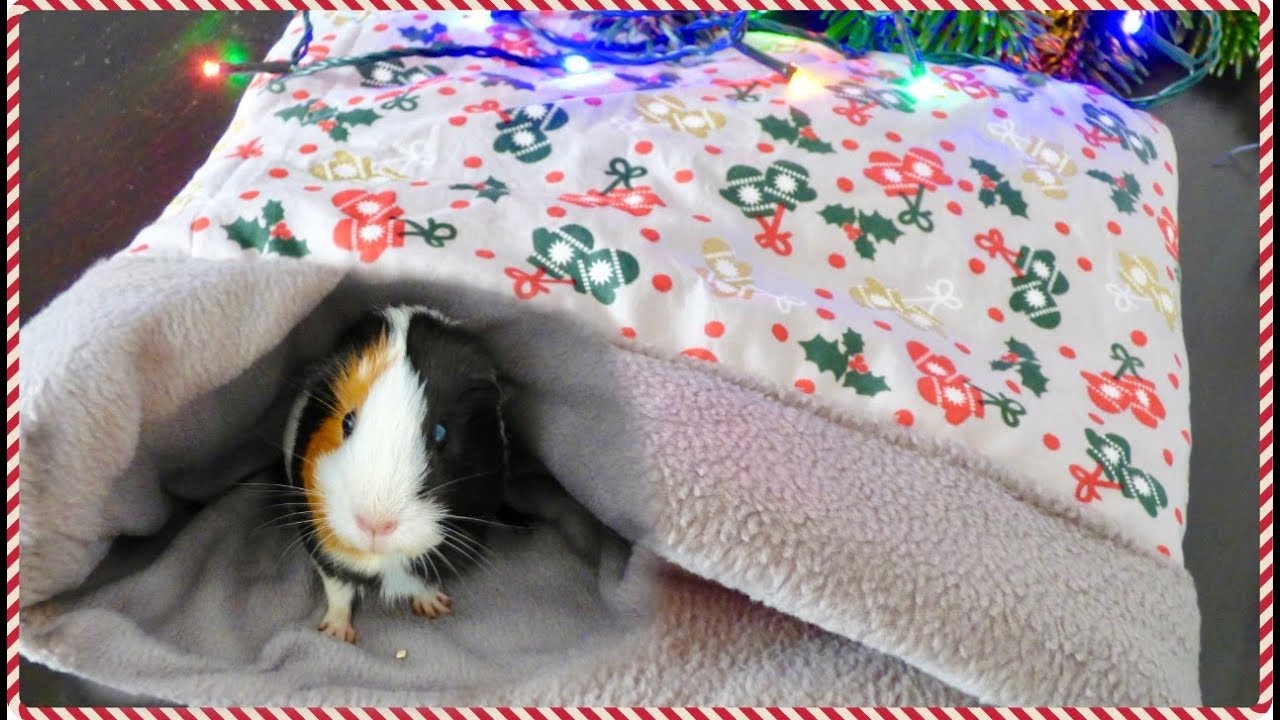 Pet Hidey Pastel Hearts Handmade in USA Antipill Plush Fleece Inside Hedgehog Cave Guinea Pig Tunnel Hideaway
