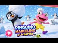 🐧 Pingüino Marcelino y La Sapita 🐸 | Canción Infantil Divertida | Música para Niños