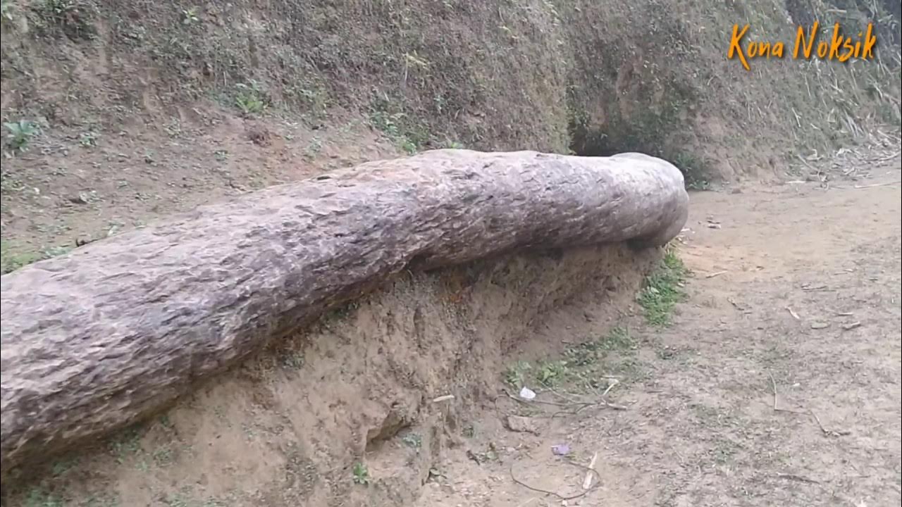 Chipu Roong pila | Fossil Python Discover | South West Garo HIlls - YouTube