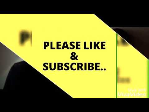 top hot of alexandra daddario   hot scene   the layover