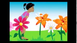 Mga bahagi ng halaman at gawain nito