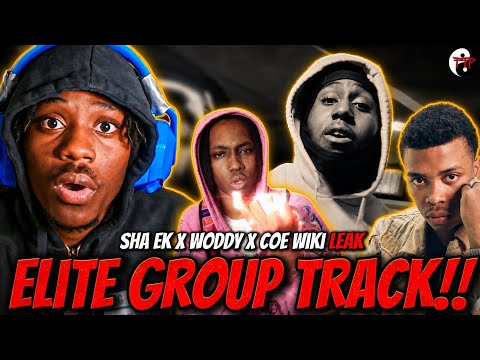 This Sha x Woddy x COE Wiki LEAK is a Hidden Gem 🔥🔥