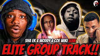 This Sha x Woddy x COE Wiki LEAK is a Hidden Gem