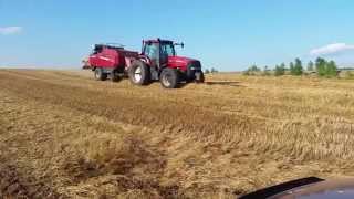 Baling rye