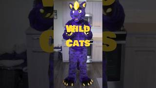Reviewing Fursona Species Day 28/30: More Wild Cats! #furries #fursuit #fursona