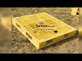 Plastic Pallet | HDPE Pallet | Recycle Pallet | Injection Moulded Pallet | Export Pallet
