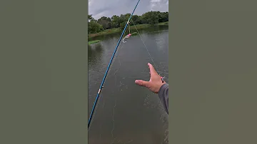 I Should Have Went Home After This Follow Crappiefishing Shorts 