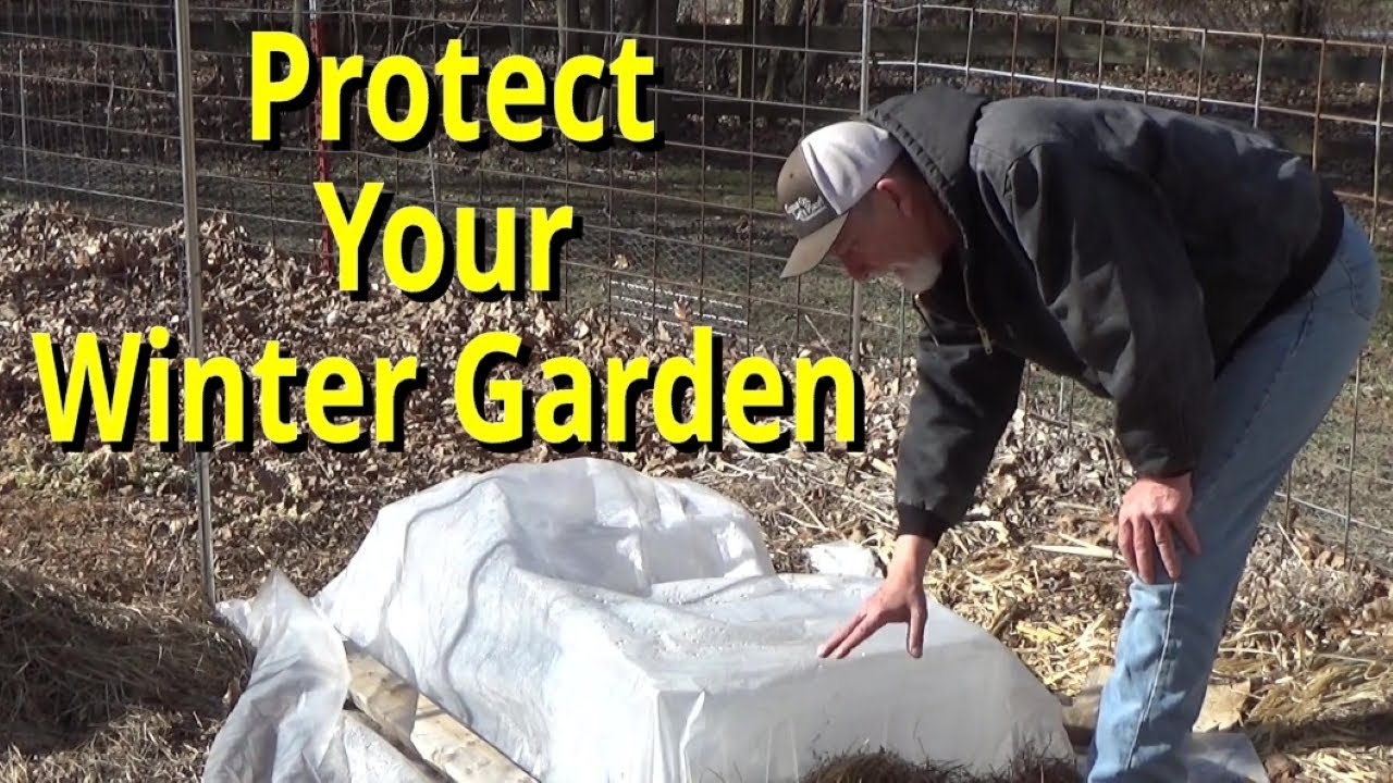 How To Protect Your Winter Garden 1-20-2024 - YouTube