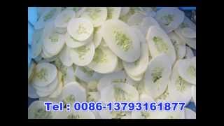 High Capacity Multi functional Vegetable Cutter Model Dqc 101electric  vegetable fruit cutter