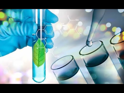 “Desafíos del escalamiento de Bioprocesos"