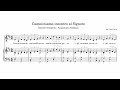 ACCOMPAGNAMENTI ORGANISTICI = 21) Camminiamo incontro al Signore (D. Semprini)