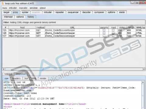 Java Secure Coding: Session and Cookie Management 5 4 Cookie Security