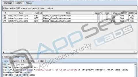 Java Secure Coding: Session and Cookie Management 5 4 Cookie Security