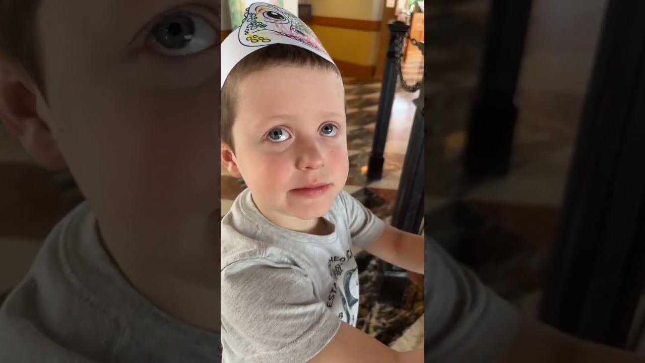 Dino Exhibit 8/6/2025