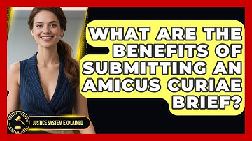 What Are the Benefits of Submitting an Amicus Curiae Brief? - Justice System Explained