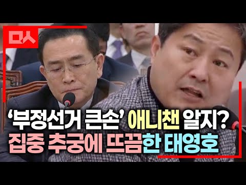 <strong>태영호</strong>-애니챈 관계 집중 추궁하는 김영배