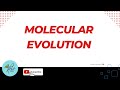 Molecular Evolution and Phylogenetics Quiz
