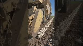 #howtogrowonyoutube #creatorgrowth #youtubetipshindi #videoviralkaisekare #reelschall #reelschalleng
