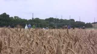 Full Mesonet OSU Trip Update