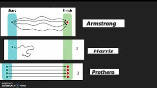 how do shared and personal knowledge shape our understanding of the world?