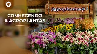 Imagem Conhecendo a Agroplantas