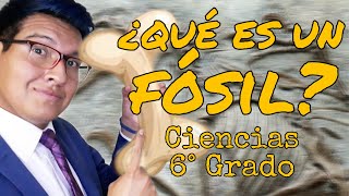 CAMBIOS EN LOS SERES VIVOS Y PROCESOS DE EXTINCIÓN | CIENCIAS 6° GRADO | EDUC PRIM | PROFE DEL VALLE