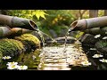 Sleep Music for Sweet Dreams | Soothing Piano & Nature Sounds