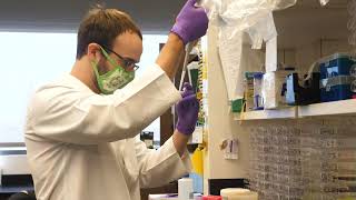 Celebrity Biomedical Sciences Graduate Program Virtual Tour Profile