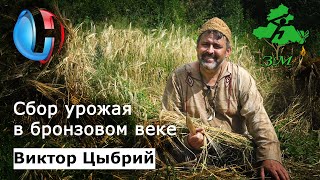 «В тени цивилизаций» – продолжение съёмок фильма о бронзовом веке на Дону. В. Цыбрий о сборе урожая