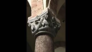 Warrior. Cybele of Possibilities. Realization of the Myth (V. S.)