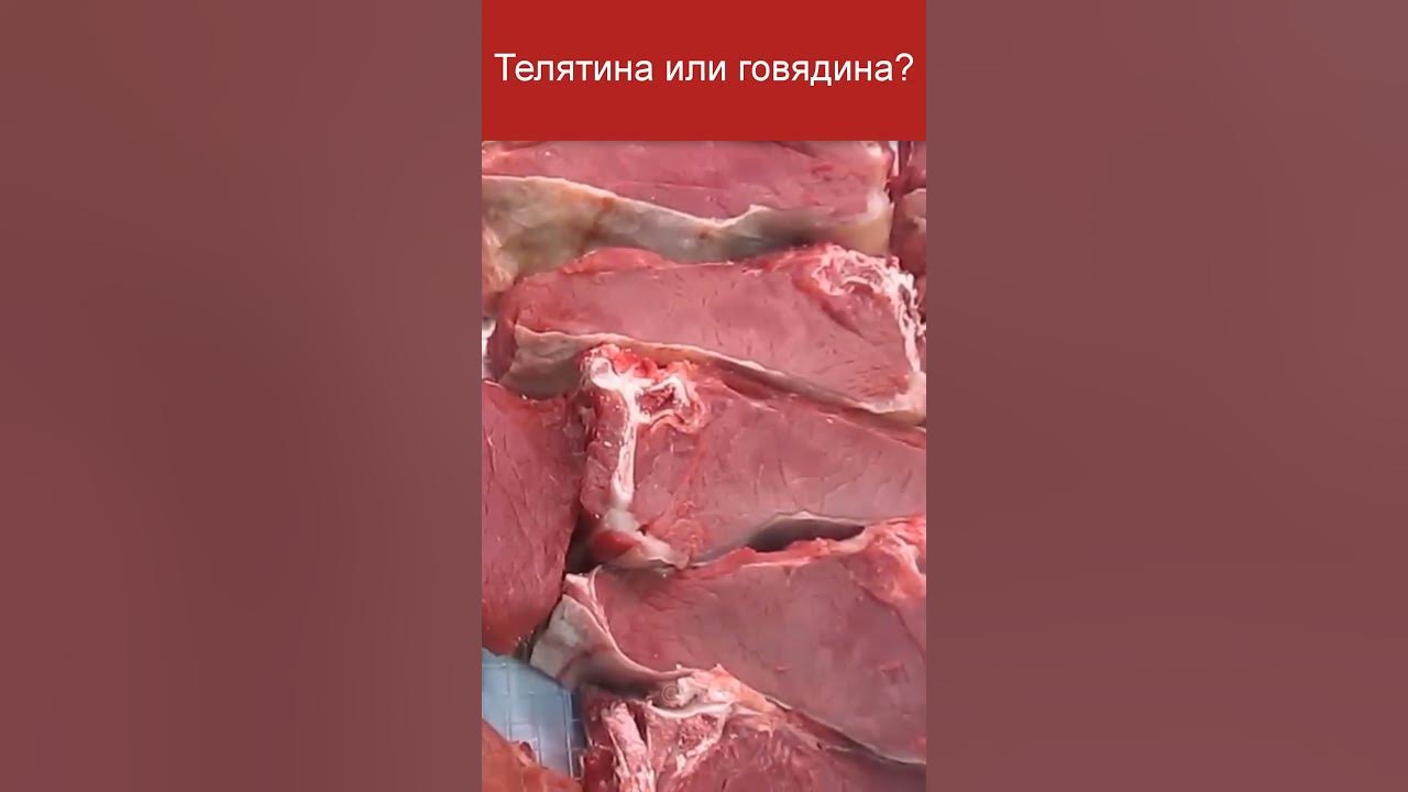 Что такое настоящая телятина - YouTube