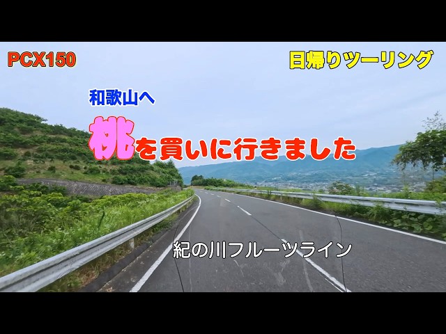 Riding the PCX150 to Wakayama to buy peaches - YouTube