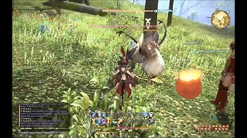 Final Fantasy XIV: A Realm Reborn - My Puglist/lancer in action