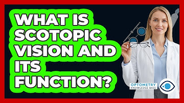 What Is Scotopic Vision And Its Function?