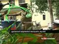 Dangerous chemical caution toddy: Alappuzha