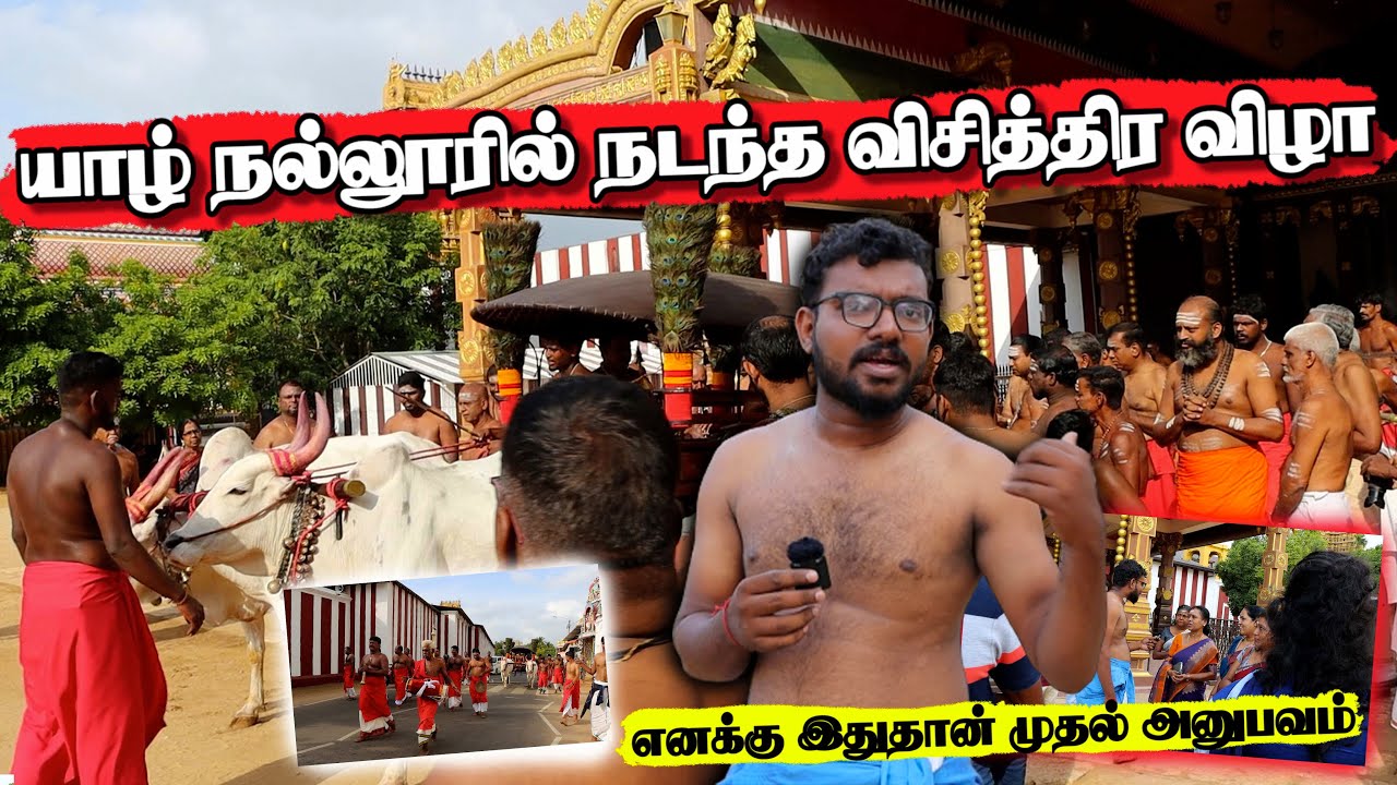 யாழ் நல்லூரில் இன்று அதிகாலை நடந்த விசித்திர விழா,படையெடுத்த பக்தர்கள்|