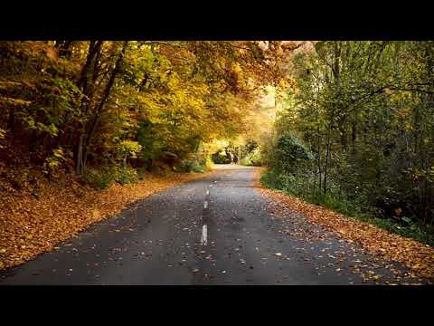 15 minutes relaxing