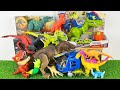 Jurassic World Toys Unboxing Asmr Colorful Dinosaur T-rex Megaraptor Velociraptor Amagarsaurus