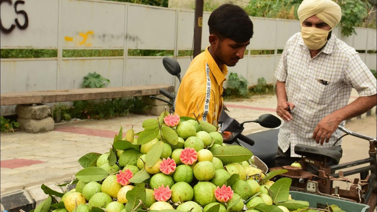 Fun and educational video about guava - YouTube